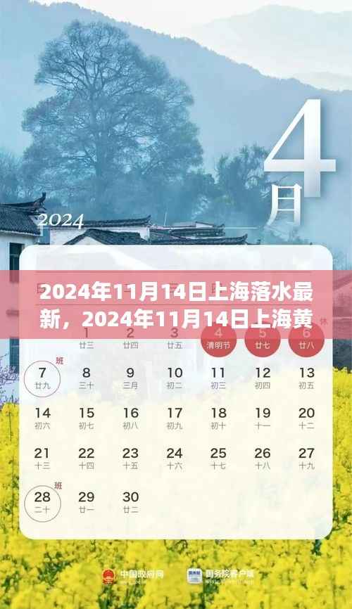 2024年11月14日上海黄浦江落水事件最新进展