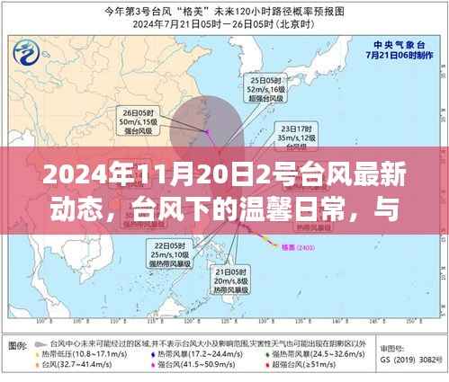 台风下的温馨日常与风中奇遇记——2号台风最新动态报道