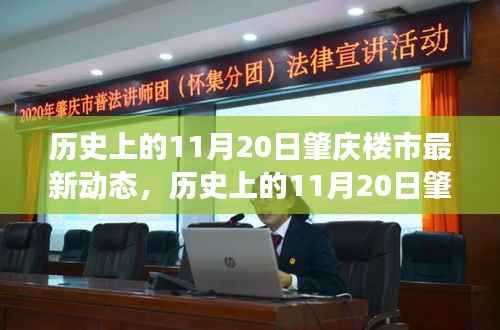 揭秘历史11月20日肇庆楼市动态,最新揭秘与市场洞察