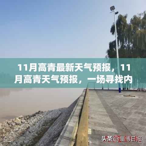 高青县11月天气预报,寻找内心平静的绿色之旅启程在即
