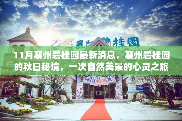 襄州碧桂园秋日秘境,自然美景的心灵之旅最新消息揭秘