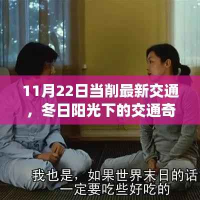 冬日阳光下的交通奇遇,11月22日日常之旅