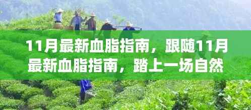 跟随最新血脂指南,踏上一场自然美景的心灵之旅之旅