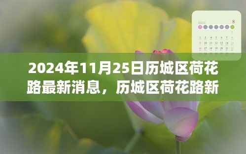 2024年历城区荷花路新篇章,最新进展与影响揭秘