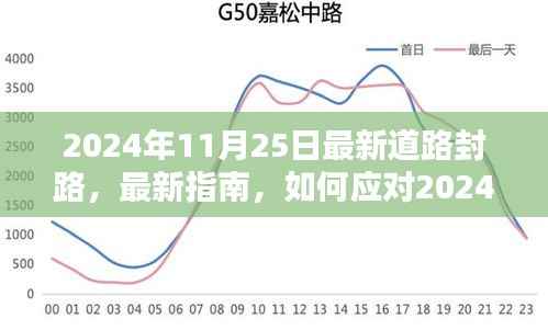 2024年11月25日道路封路应对指南,适用于初学者与进阶用户