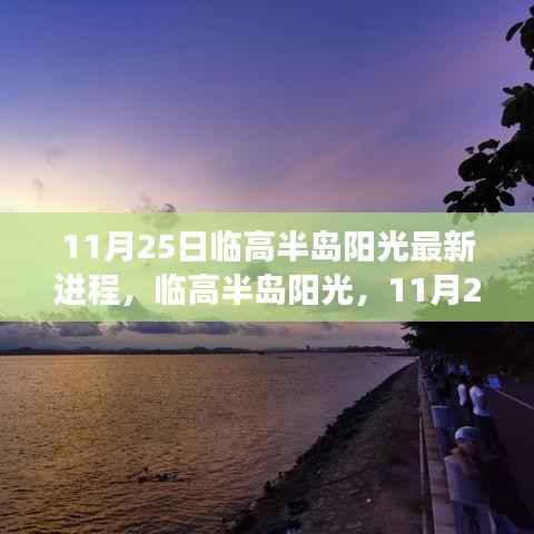 临高半岛阳光最新进展揭秘,11月25日最新更新动态速递