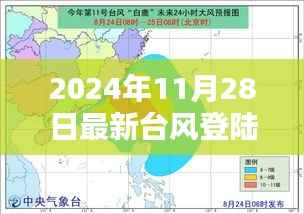 台风来袭!阳江最新台风应对指南——初学者安全指南