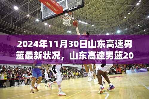 山东高速男篮2024年最新动态,多维度解析赛场内外的观察与现状