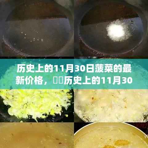 小红书带你探寻历史菜价变迁,揭秘11月30日菠菜最新价格回顾
