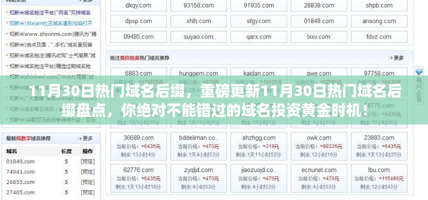 11月30日热门域名后缀大盘点，域名投资黄金时机，不容错过！