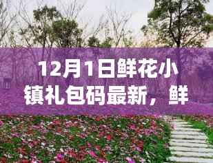 鲜花小镇惊喜礼包码更新,爱在温馨传递中的惊喜礼物