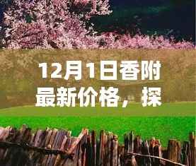 探寻小巷深处的宝藏,揭秘12月1日香附最新价格