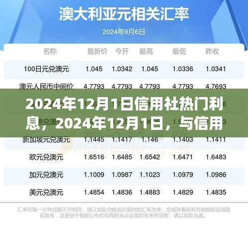 2024年12月1日信用社利息热点解析,探寻自然之美与内心宁静的旅程