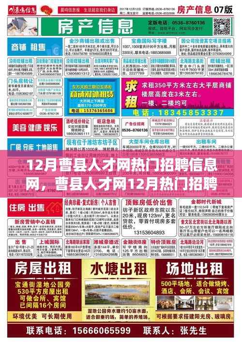 曹县人才网12月热门招聘信息与自然美景的邂逅,寻找平和之旅