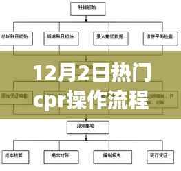 揭秘十二月二日最新CPR操作流程,专业指南与实用科普知识分享