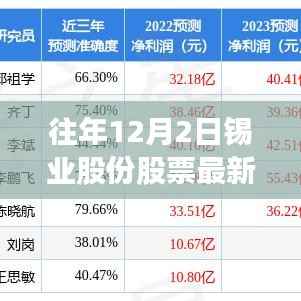 锡业股份历年动态回顾与最新消息深度解析,十二月二日锡业股份股票动态及最新消息速递
