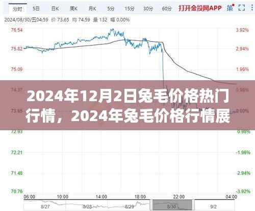 2024年兔毛价格行情展望与市场动态解析
