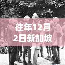 新加坡之旅,探索自然美景与心灵净土的抗疫之旅