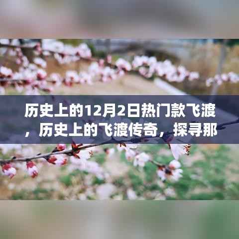 探寻历史上的飞渡传奇，闪耀在12月2日的热门款飞渡故事