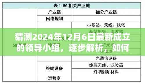 揭秘2024年最新领导小组，逐步解析与猜测