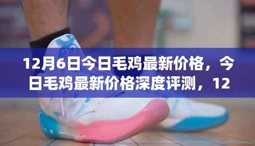12月6日毛鸡最新价格深度解析,市场观察与全方位解读