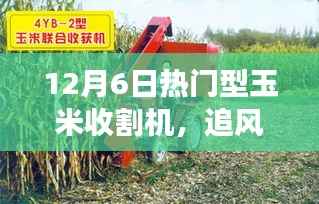 追风逐日,玉米收割机的自然之旅,探寻内心平静的玉米地之旅