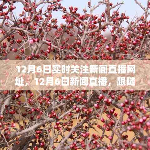 12月6日新闻直播,跟随自然美景的旅行,探寻内心的桃花源实时直播网址