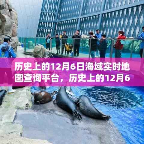 历史上的12月6日海域探索,深海秘境与实时地图查询平台的心灵港湾