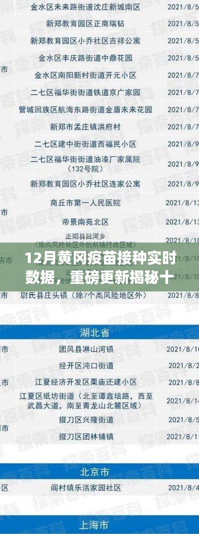 揭秘十二月黄冈疫苗接种实时数据背后的故事