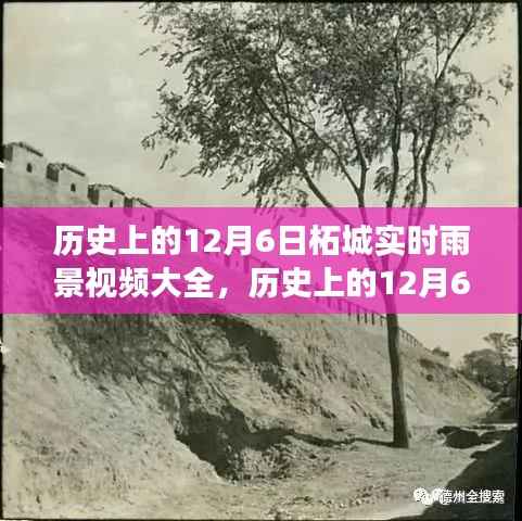 历史上的12月6日柘城雨景回顾,励志篇章中的自信成就与雨景视频大全