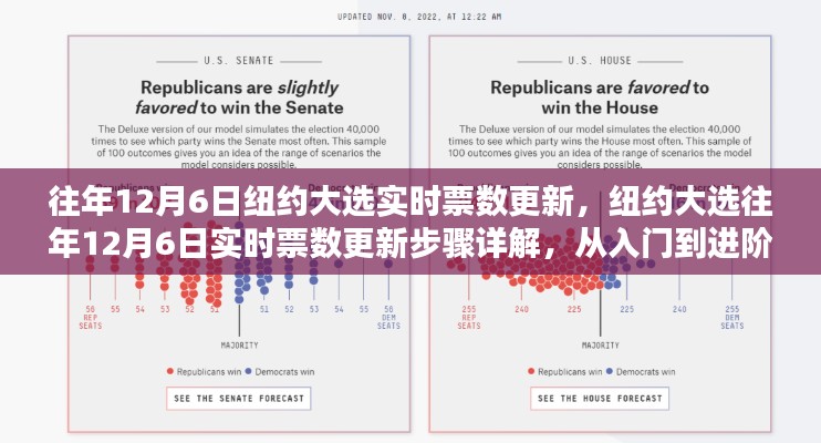 纽约大选历年12月6日实时票数更新详解,入门到进阶指南