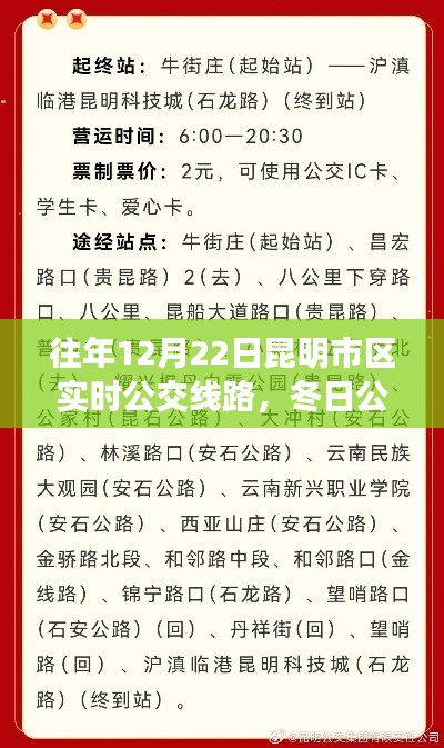 昆明市区冬日公交之旅,暖心重逢与公交奇遇的纪念日
