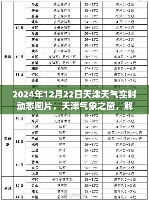 天津气象之窗,解读天津天气实时动态图片背后的故事(2024年12月22日实时更新)
