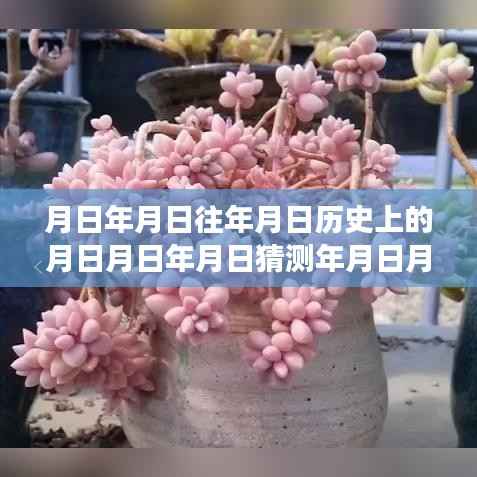 追寻月影之下的宁静之旅,保定62路车实时查看与心灵自然美景的邂逅