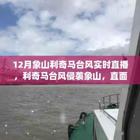 利奇马台风侵袭象山,实时直播记录与深度解析风暴之旅