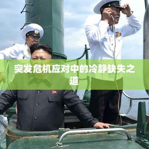 突发危机应对中的冷静缺失之道