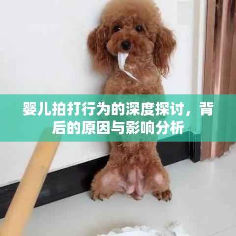 婴儿拍打行为的深度探讨,背后的原因与影响分析