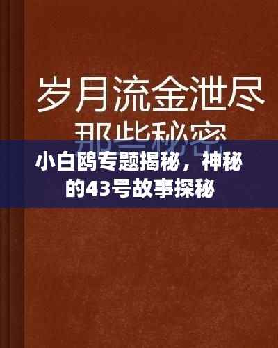 小白鸥专题揭秘,神秘的43号故事探秘