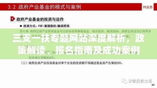 三支一扶专题网站深度解析,政策解读、报名指南及成功案例分享