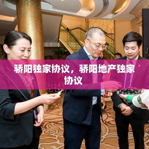 骄阳独家协议,骄阳地产独家协议