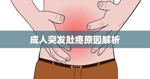 成人突发肚疼原因解析