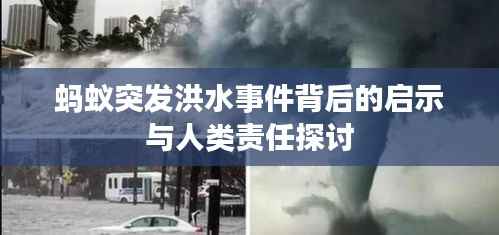 蚂蚁突发洪水事件背后的启示与人类责任探讨