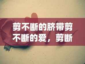 剪不断的脐带剪不断的爱,剪断的脐带甩开的手是什么歌