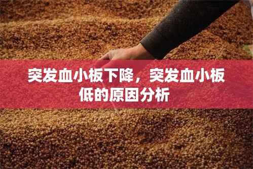 突发血小板下降，突发血小板低的原因分析 