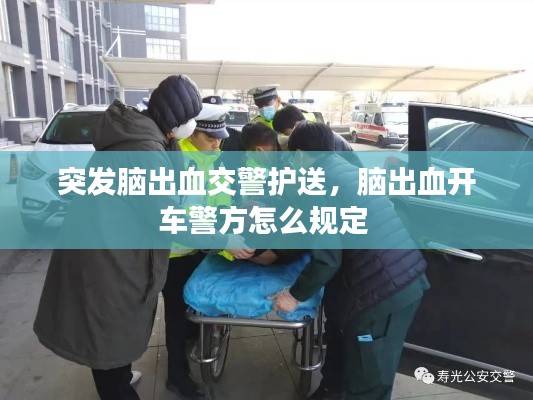 突发脑出血交警护送,脑出血开车警方怎么规定