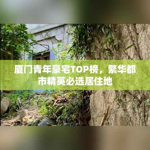 厦门青年豪宅TOP榜，繁华都市精英必选居住地