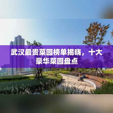 武汉最贵菜园榜单揭晓，十大豪华菜园盘点