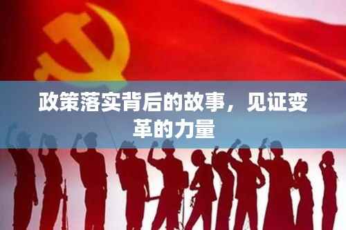 政策落实背后的故事,见证变革的力量