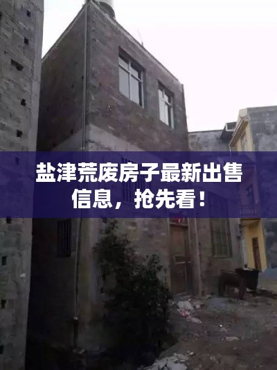 盐津荒废房子最新出售信息,抢先看!