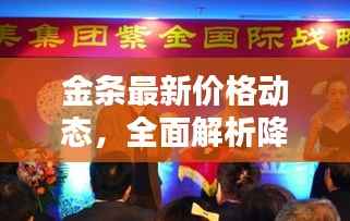 金条最新价格动态，全面解析降价消息